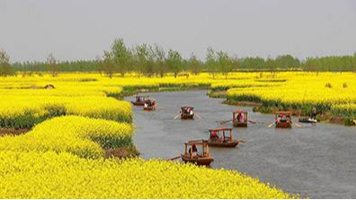 美麗鄉(xiāng)村設(shè)計不能按照城鎮(zhèn)化的思路來設(shè)計